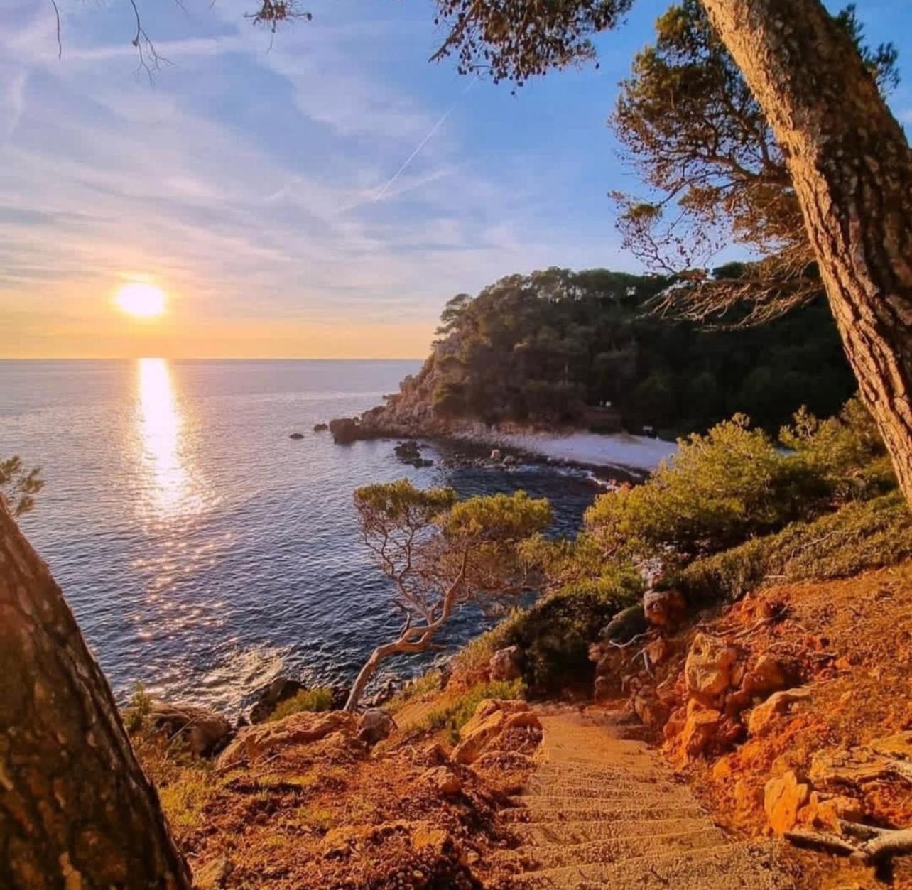 Logement Vue Mer Splendide - Situe A 50 Metres Du Bord De Mer Et 2 Minutes Des Plages - Bandolina Esterno foto
