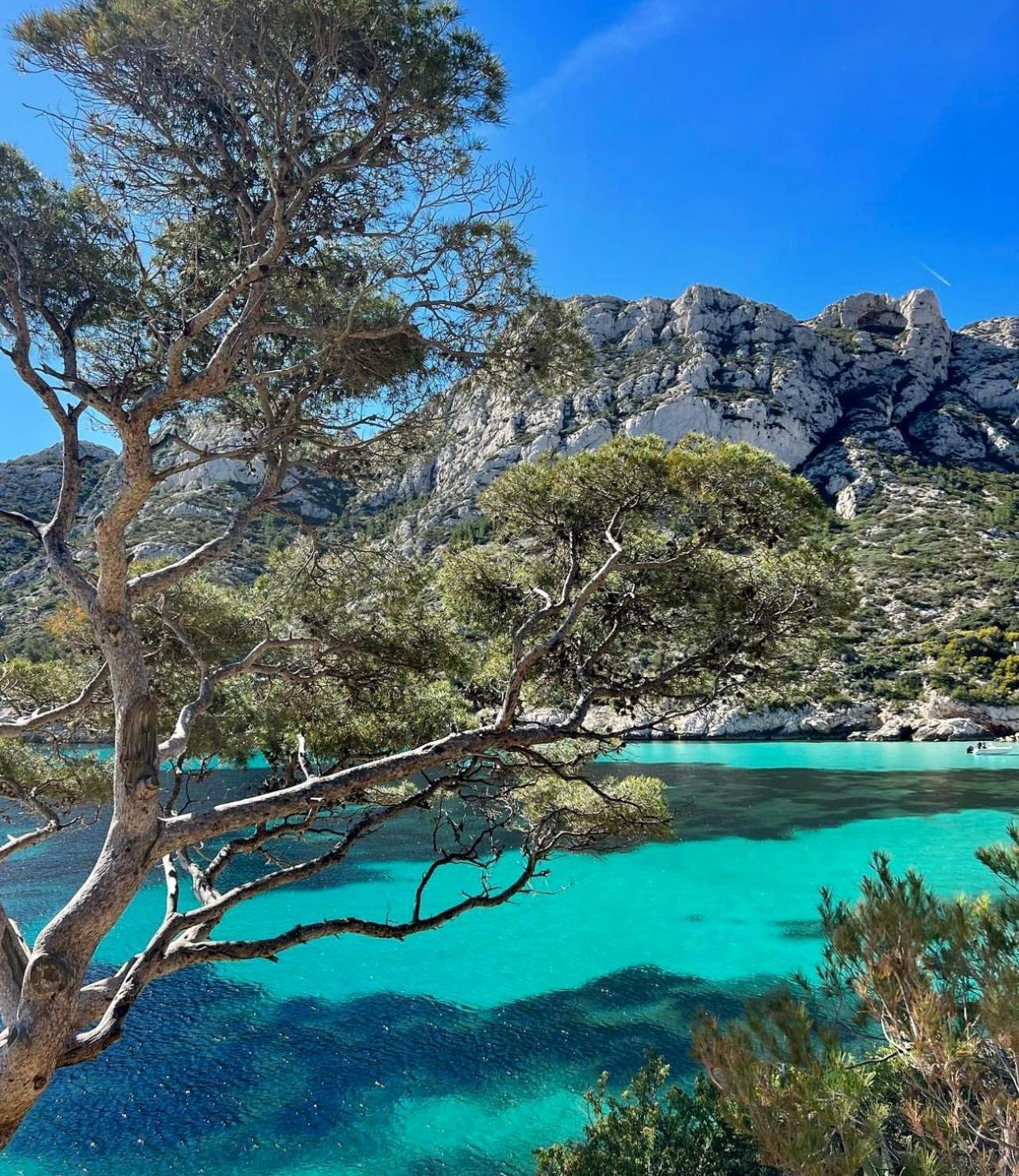 Logement Vue Mer Splendide - Situe A 50 Metres Du Bord De Mer Et 2 Minutes Des Plages - Bandolina Esterno foto